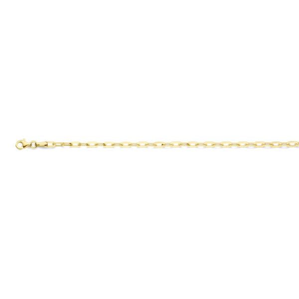 armband paperclip 3 mm 18,5 cm 14K geelgoud