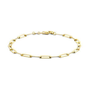 armband paperclip plat 19 cm 14K geelgoud
