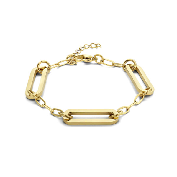 armband paperclip platte buis 8 mm 16 + 3 cm ion plating edelstaal