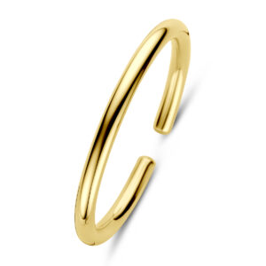 armband spang 6 x 62 mm 14K geelgoud