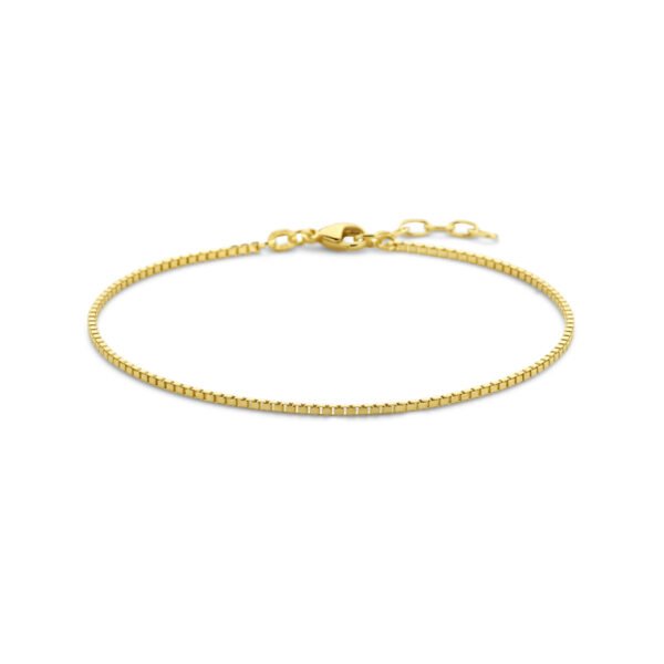 armband venetiaans 1,2 mm 19 + 2 cm (heren lengte) 14K geelgoud