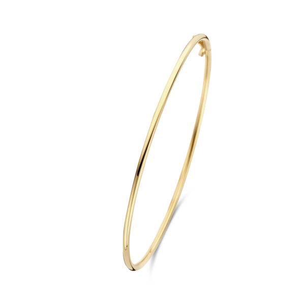 bangle dop ronde buis 1,8 mm 60 x 52 mm 14K geelgoud