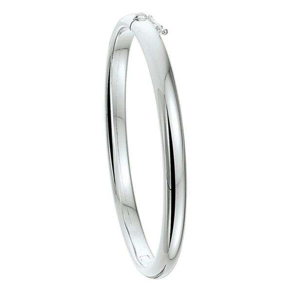 bangle scharnier bolle buis 6 x 60 mm zilver wit