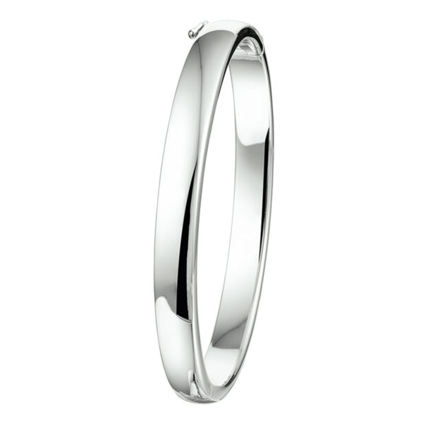 bangle scharnier bolle buis 7 x 60 mm zilver gerhodineerd