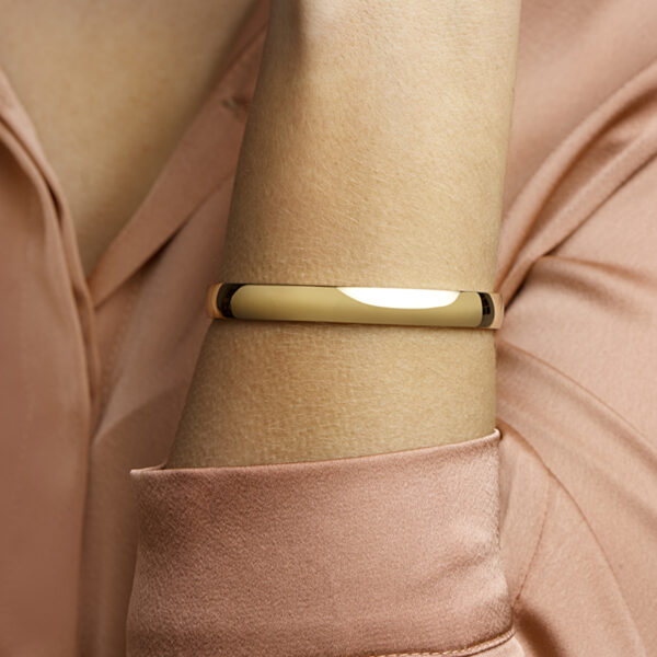 bangle scharnier massief 8 x 60 mm edelstaal - Afbeelding 2