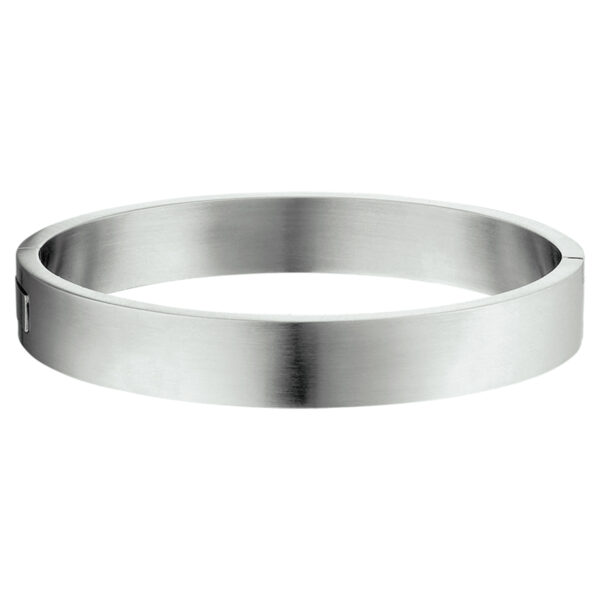 bangle scharnier massief mat 11,5 x 68 mm edelstaal