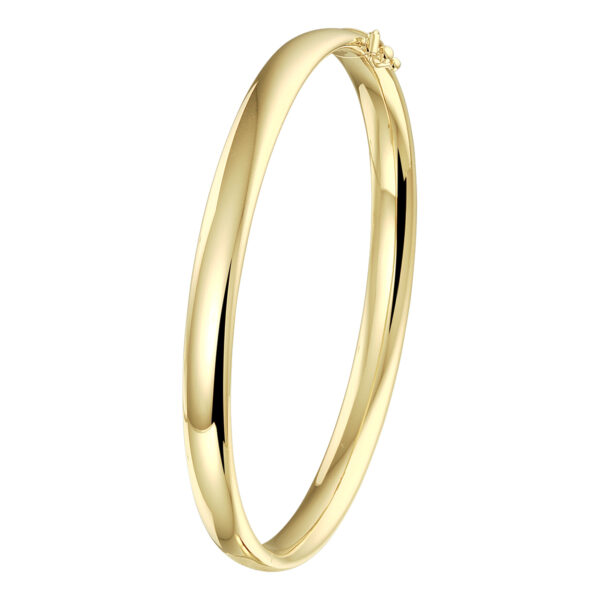 bangle scharnier ovale buis 6 x 60 mm 14K geelgoud