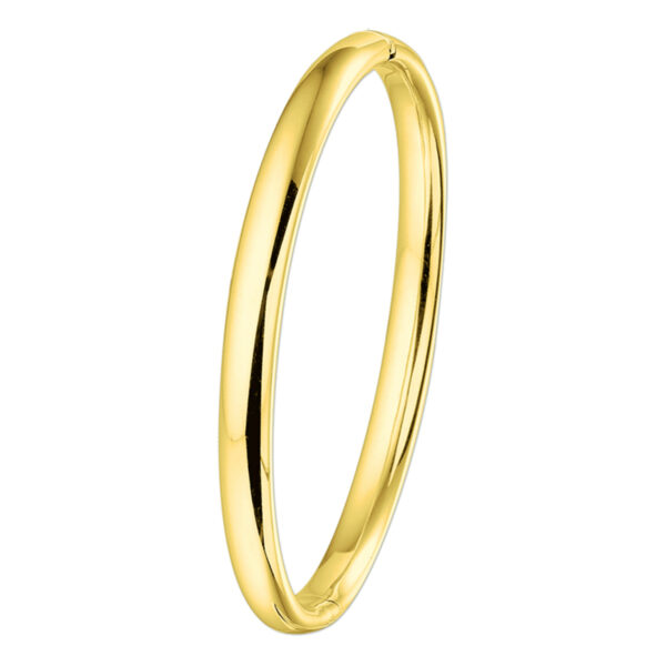 bangle scharnier ovale buis 6 x 60 mm 14K geelgoud