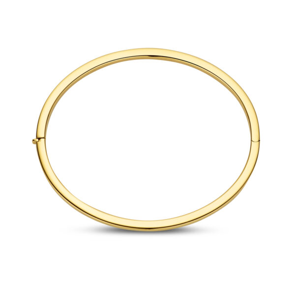 bangle scharnier vlakke buis 3,0 x 60 mm 14K geelgoud - Afbeelding 3