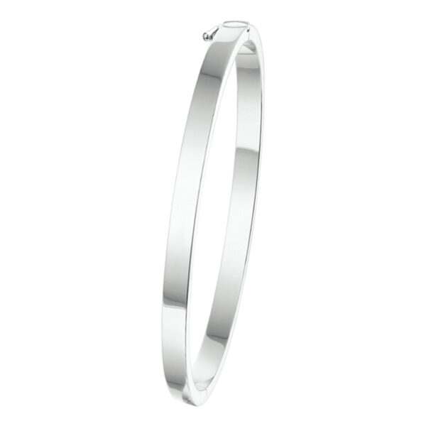 bangle scharnier vlakke buis 4 x 60 mm zilver wit