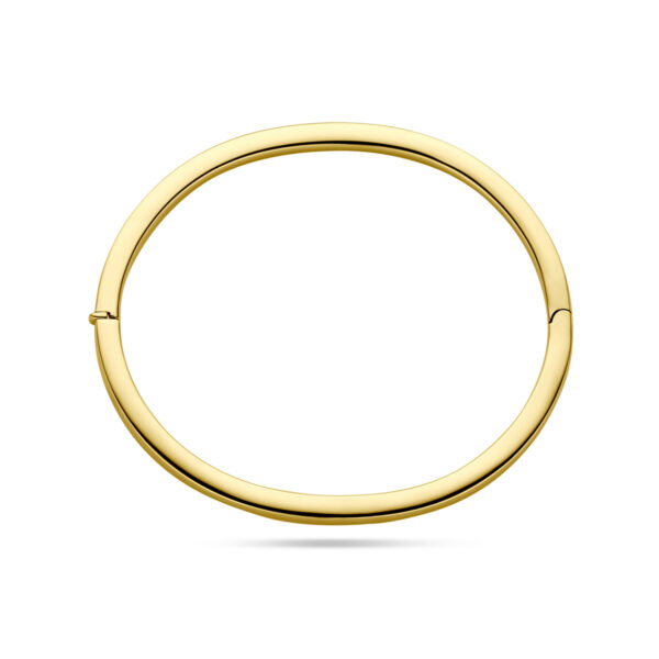 bangle scharnier vlakke buis 4,0 x 60 mm 14K geelgoud - Afbeelding 3