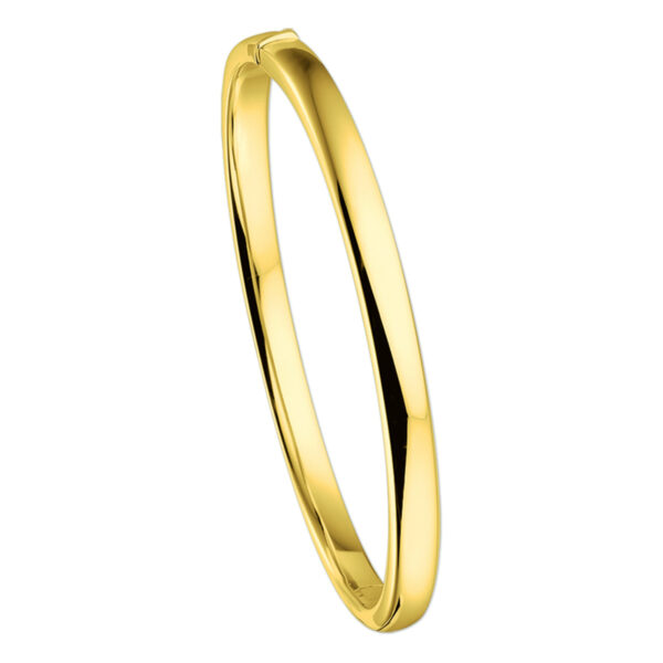 bangle scharnier vlakke buis 5 x 60 mm 14K geelgoud