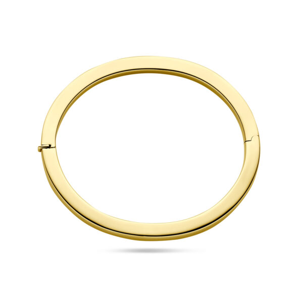 bangle scharnier vlakke buis 5,0 x 60 mm 14K geelgoud - Afbeelding 3