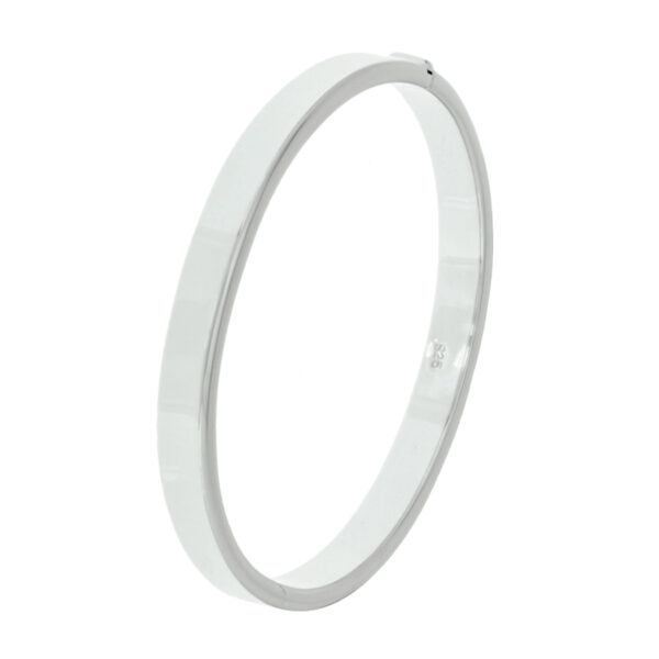bangle scharnier vlakke buis 7 x 60 mm zilver gerhodineerd