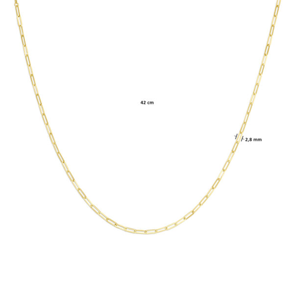 collier 2,8 mm 42 cm 14K geelgoud - Afbeelding 4