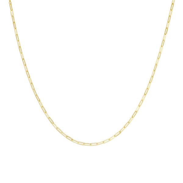 collier 2,8 mm 42 cm 14K geelgoud