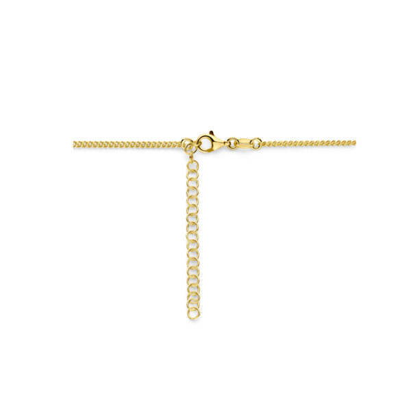 collier 3,6 mm 40 + 5 cm 3 micron zilver verguld (geel) - Afbeelding 3