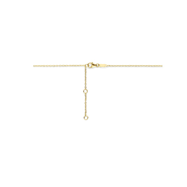 collier 40 - 42 - 44 cm 14K geelgoud - Afbeelding 3