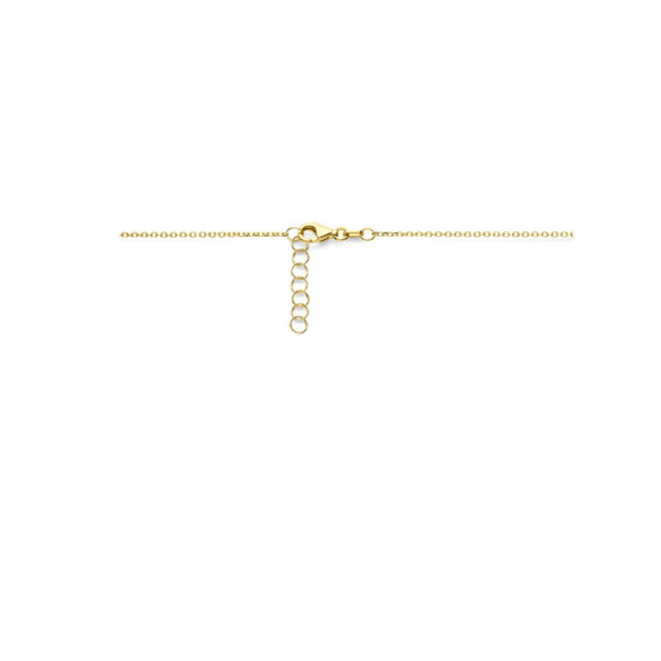 collier 42 + 2 cm poli/mat 14K geelgoud - Afbeelding 3