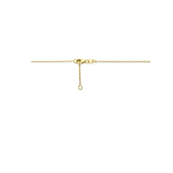 collier 42 - 44 cm 14K geelgoud - Afbeelding 3