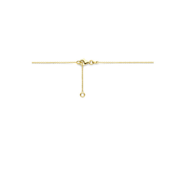 collier 42 - 45 cm 14K geelgoud - Afbeelding 3