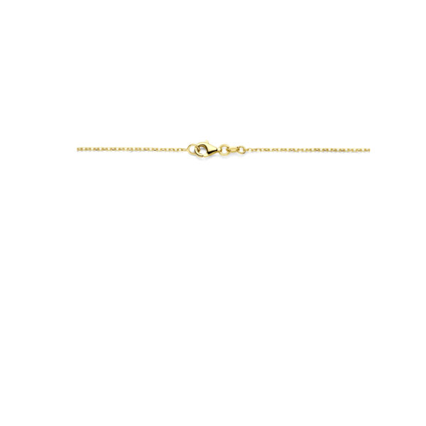 collier 43 cm 14K geelgoud - Afbeelding 3
