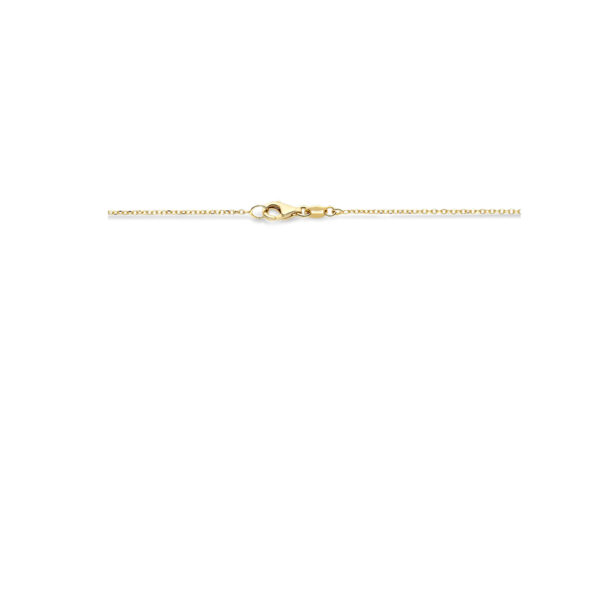 collier 43 cm poli/mat 14K geelgoud - Afbeelding 3