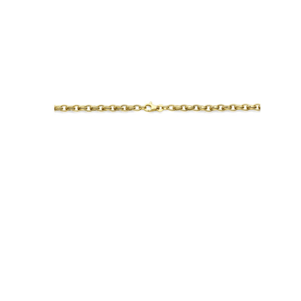 collier 5,0 mm 45 cm 14K geelgoud - Afbeelding 3