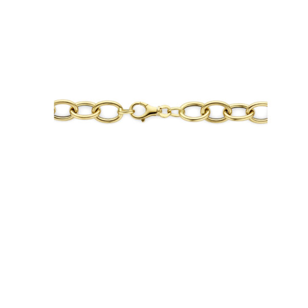 collier anker 10 mm 45 cm 14K geelgoud - Afbeelding 3