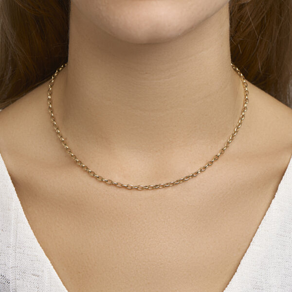 collier anker 3,1 mm 43 cm 14K geelgoud - Afbeelding 2
