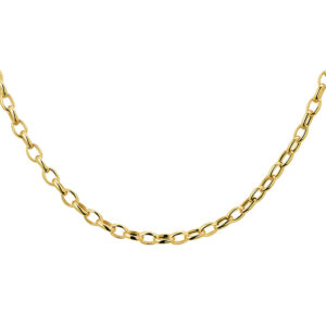 collier anker 3,1 mm 43 cm 14K geelgoud