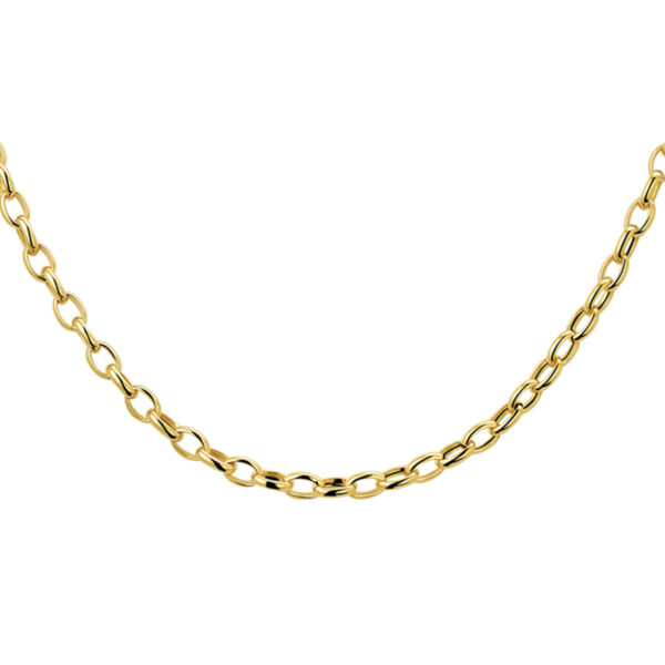collier anker 3,1 mm 43 cm 14K geelgoud