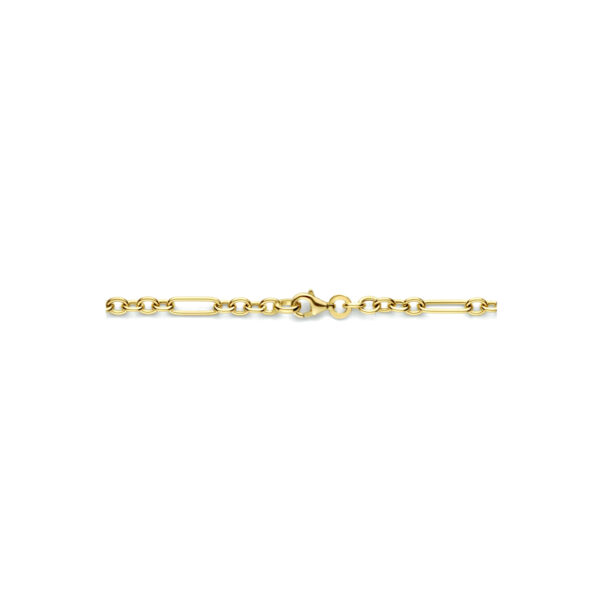 collier anker 4,0 mm 42 cm 14K geelgoud - Afbeelding 3