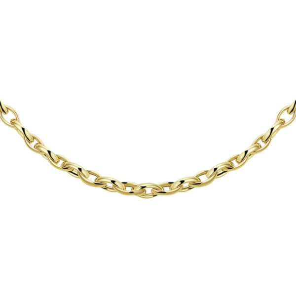 collier anker 4,5 mm 45 cm 14K geelgoud