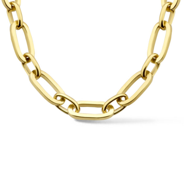 collier anker 5,5 mm 45 cm Silgold (geel met zilverkern)