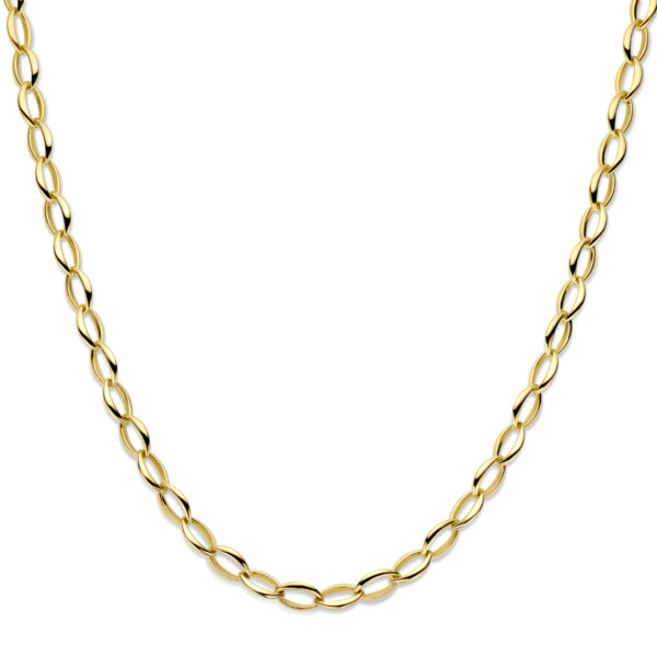 collier anker 8,8 mm 45 cm 14K geelgoud