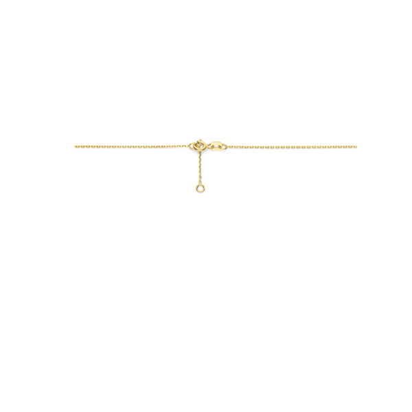 collier bloem zirkonia 43 - 45 cm 14K geelgoud - Afbeelding 3