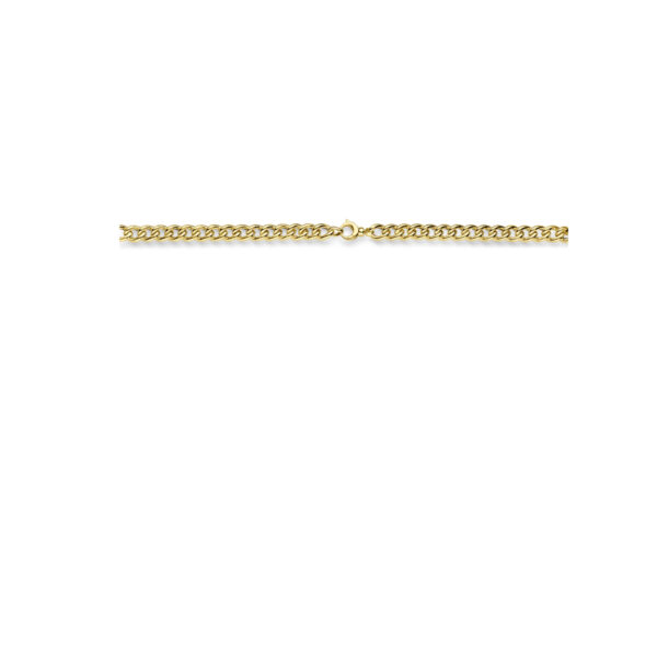 collier gourmette diamant 0.31ct h si 7 mm 43 cm 14K bicolor goud geel/wit - Afbeelding 3