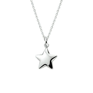 collier hanger ster 41 + 4 cm zilver wit