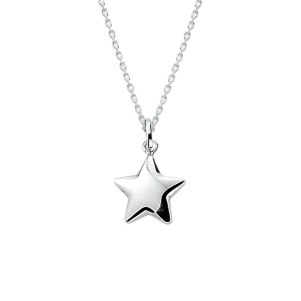 collier hanger ster 41 + 4 cm zilver wit