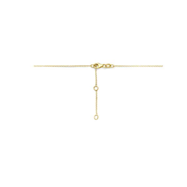 collier hart zirkonia 41 - 43 - 45 cm 14K geelgoud - Afbeelding 3