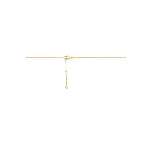 collier hartje lab grown diamant 40 - 42 - 44 cm 0.25ct g si 14K geelgoud - Afbeelding 3