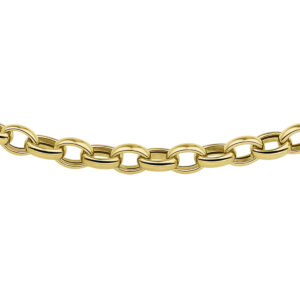collier jasseron 4,3 mm 45 cm 14K geelgoud