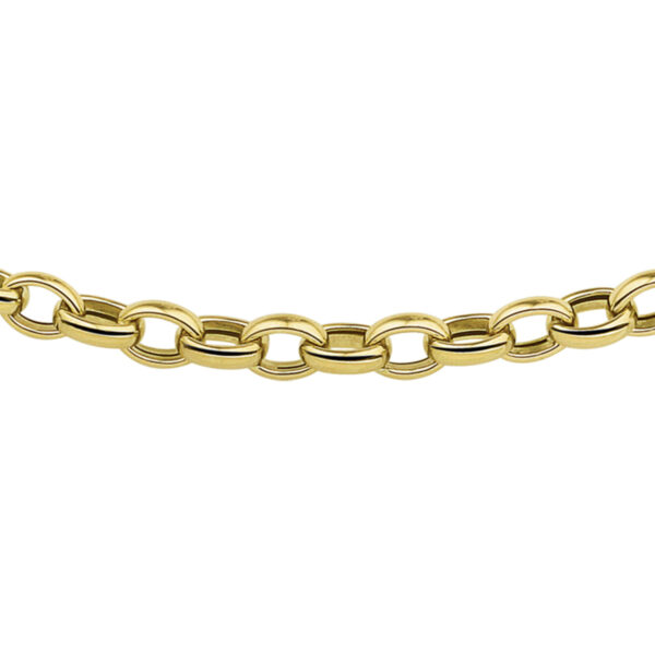 collier jasseron 4,3 mm 45 cm 14K geelgoud