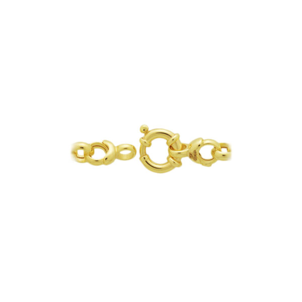 collier jasseron 6,5 mm 45 cm met groot springslot 14K geelgoud - Afbeelding 3