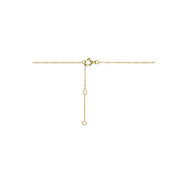 collier lab grown diamant 0.495ct h si 14K geelgoud - Afbeelding 3