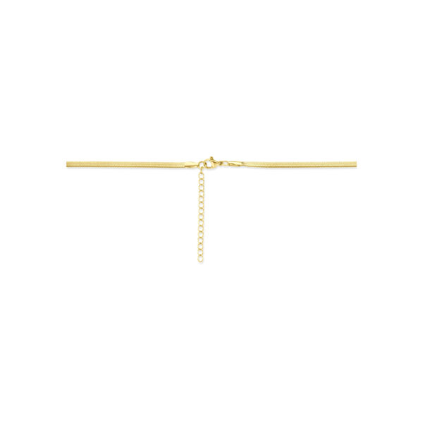 collier omega ion plating 3,0 mm 40 + 5 cm edelstaal - Afbeelding 3