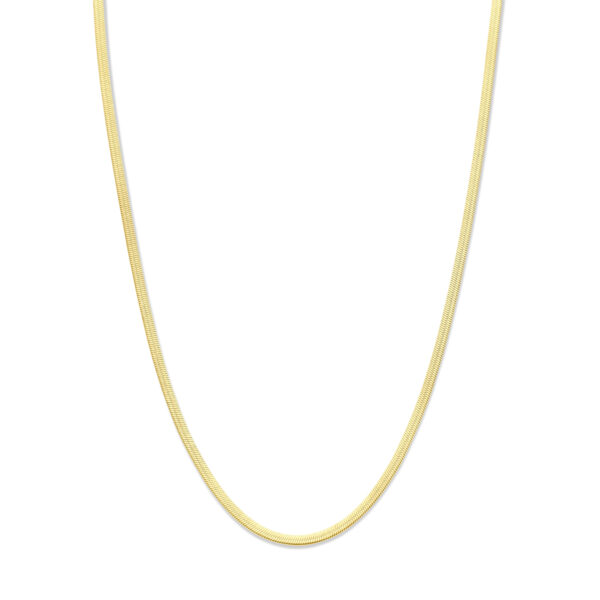 collier omega ion plating 3,0 mm 40 + 5 cm edelstaal