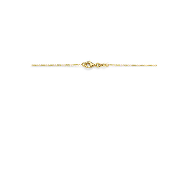 collier ovaal 45 cm 14K geelgoud - Afbeelding 3