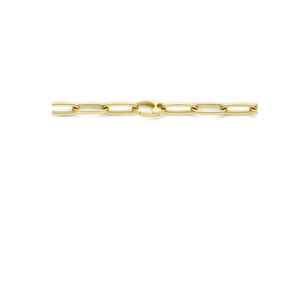 collier paperclip diamant 0.34ct g vsi half ronde buis 7,4 mm 50 cm 18K bicolor goud geel/wit - Afbeelding 3